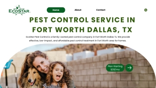 Pest Control Service in Forth Worth Dallas