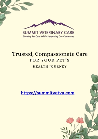 Trusted, Compassionate Care for Your Pet’s Health Journey