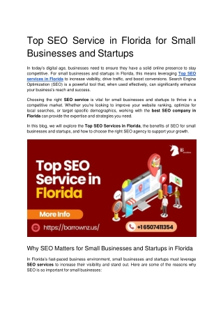 Top SEO Service in Florida for Small Businesses and Startups