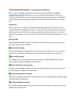 SPOTON PROFESSIONAL SERVICES