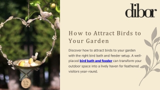 How to Attract Birds to Your Garden with the Perfect Bird Bath and Feeder