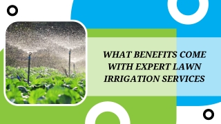 Optimized Sprinkler Plans for Large Yards