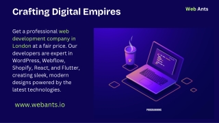 Web Development And Design Company London