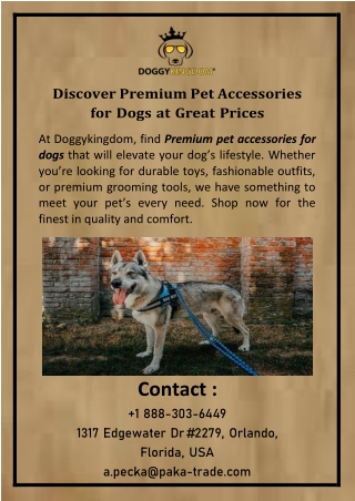 Discover Premium Pet Accessories for Dogs at Great Prices