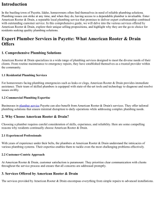 Expert Plumber Services in Payette: What American Rooter & Drain Offers