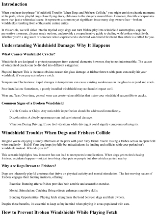 Windshield Trouble: When Dogs and Frisbees Collide