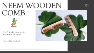 Neem Wooden Comb for Healthy Scalp and Hair – ApnaKraft