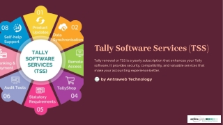 Tally-Software-Services-TSS