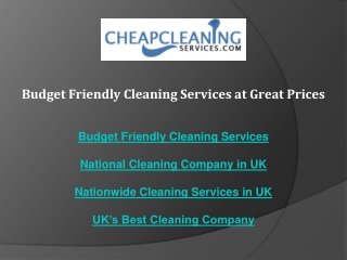 Budget Friendly Cleaning Services at Great Prices