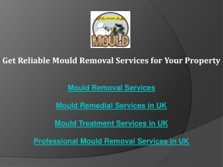 Get Reliable Mould Removal Services for Your Property