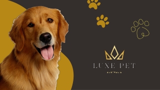 Natural Dog Shampoos: Benefits for Sensitive Skin and Allergies