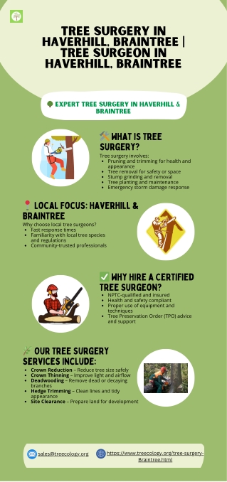 Tree surgery in Haverhill, Braintree  Tree surgeon in Haverhill, Braintree (2)