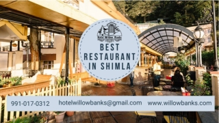Best Restaurants in Shimla Mall Road; A Food Lover's Guide