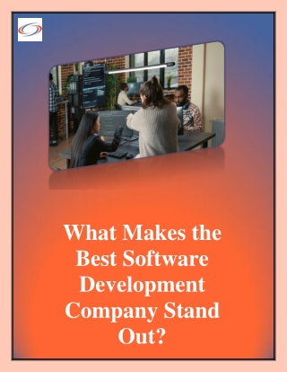 What Makes the Best Software Development Company Stand Out