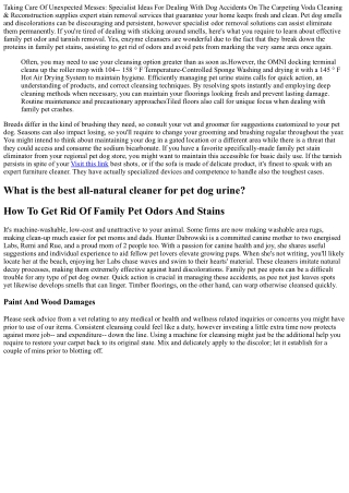 Family Pet Odor Remover Suggestions: Keeping Your Rugs Fresh