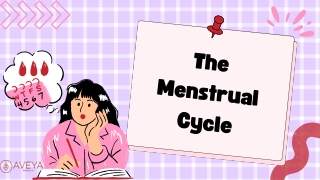 Understanding The Menstrual Cycle And Fertility Connection