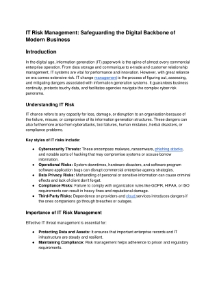 Expert IT Risk Management Services by means of CodeGuardian