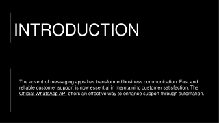 How to Automate Customer Support Using an Official WhatsApp API