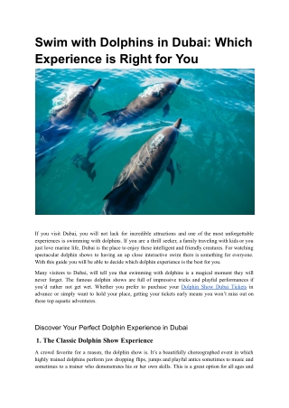 Swim with Dolphins in Dubai: Which Experience is Right for You