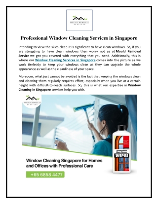 Professional Window Cleaning Services in Singapore