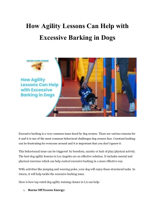 How Agility Lessons Can Help with Excessive Barking in Dogs