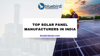 Top Solar Panel Manufacturers in India