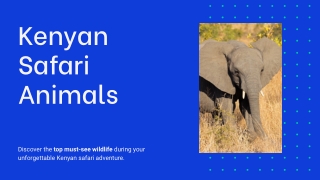 What are the Must-See Animals on a Kenyan Safari Adventure