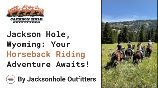 Jackson Hole, Wyoming Your Horseback Riding Adventure Awaits!