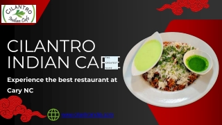 Saag Paneer Samosa Chaat | Cilantro Indian Cafe