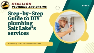 Step-by-Step Guide to DIY plumbing Salt Lake‘s services