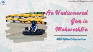 An Undiscovered Gem in Maharashtra - KSR Global Aquarium