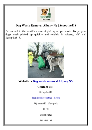 Dog Waste Removal Albany Ny   Scoopthe518