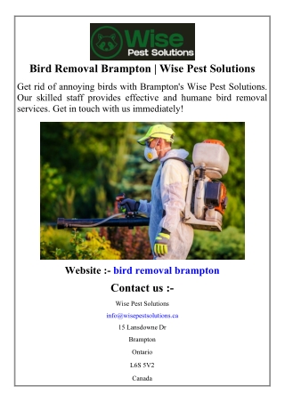 Bird Removal Brampton | Wise Pest Solutions