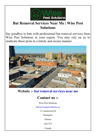 Bat Removal Services Near Me | Wise Pest Solutions