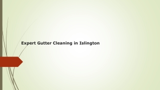 Expert Gutter Cleaning in Islington