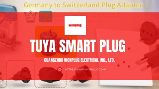 Tuya Smart Plug - Wonplug.com