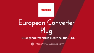 European Converter Plug - Wonplug.com