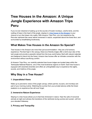 Tree Houses in the Amazon: A Unique Jungle Experience