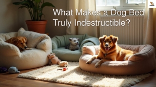 Chew-Proof Dog Bed | Indestructible, Chew-Resistant & Washable