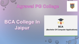 BCA college In Jaipur (2)