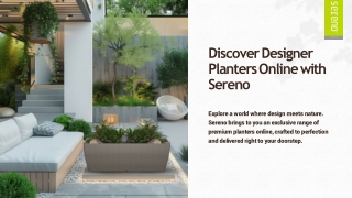 Find the Right Planters Online for Your Green Collection