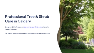 Tree Service and Shrub Care in Calgary Alberta - Evergreen Ltd