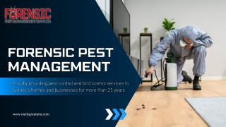 Termite Inspection Sydney