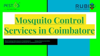 Mosquito Control Services in Coimbatore