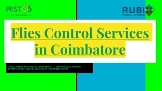 Flies Control Services in Coimbatore