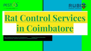 Rat Control Services in Coimbatore