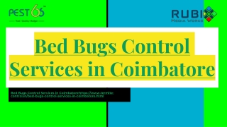 Bed Bugs Control Services in Coimbatore