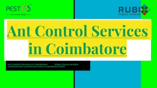 Ant Control Services in Coimbatore