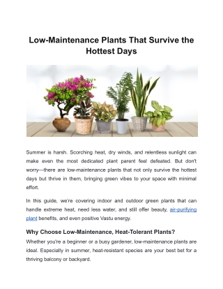 Low-Maintenance Plants That Survive the Hottest Days