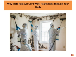 Why Mold Removal Can’t Wait: Health Risks Hiding in Your Walls